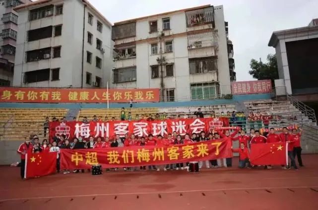 青草视频在线免费观看