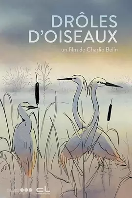 可变刷新率开启还是关闭