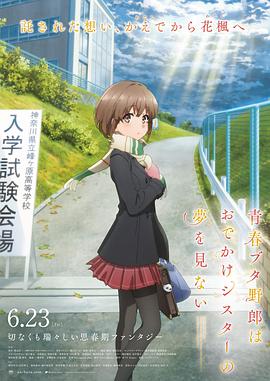 大淫家视频