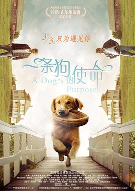 色老头网站久久网