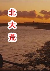 毛片大片免费看