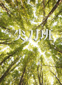 国产真实强j视频在线观看
