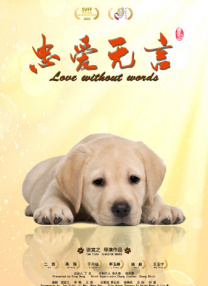 我老公的出轨