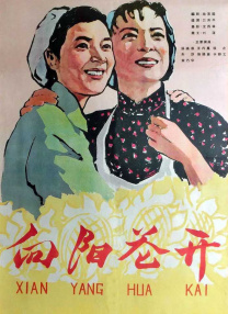 中国台湾伦理片