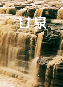 寻情记全集完整版