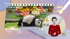 国产精品麻豆一区二区三区